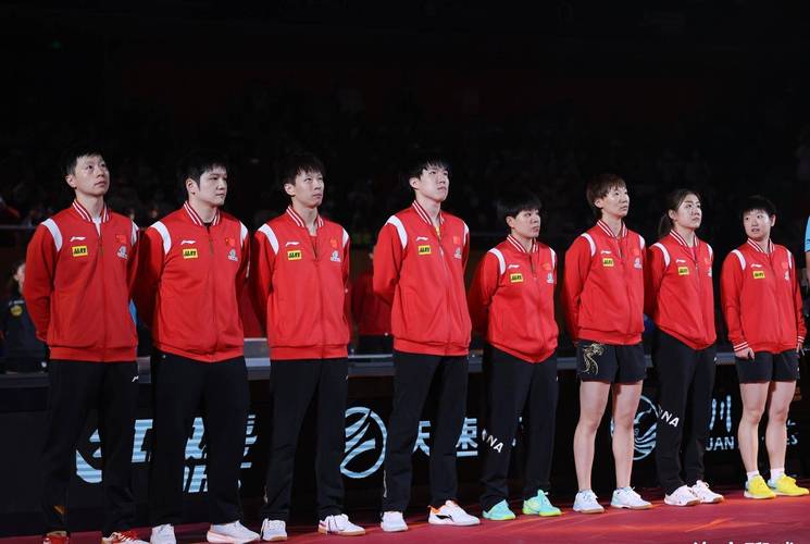 2013乒乓球世界杯参赛名单