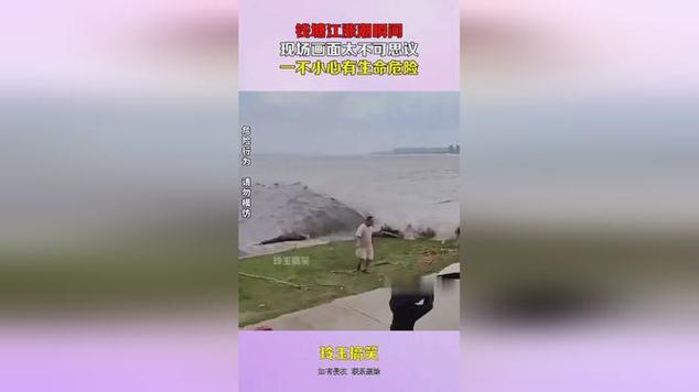 钱塘江涨潮多位游客被冲倒的相关图片